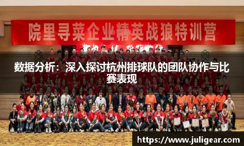 数据分析：深入探讨杭州排球队的团队协作与比赛表现